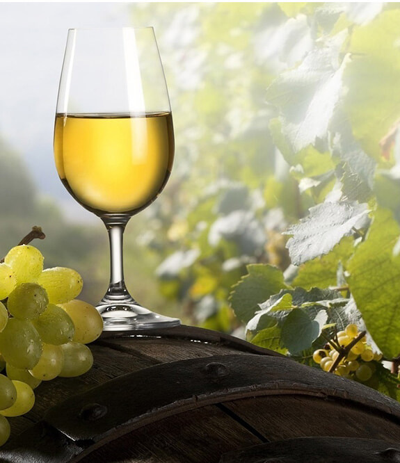 Bottle of White Wine