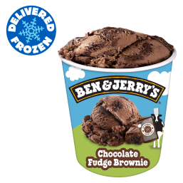 Ben & Jerry's Chocolate Fudge Brownie